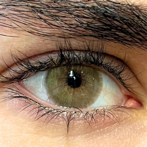 Angeles N Brown -2.75
