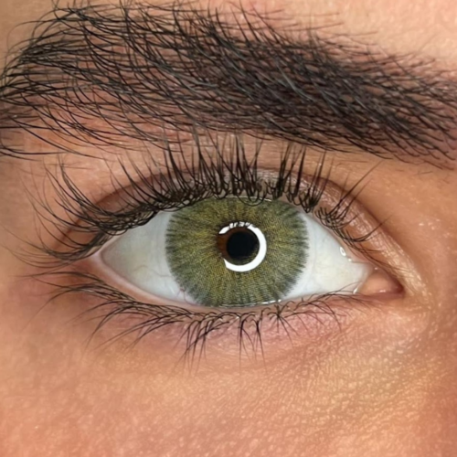 Angeles N Gray