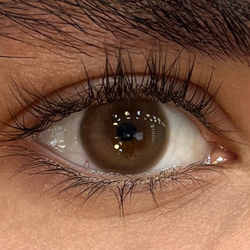 Nude Brown