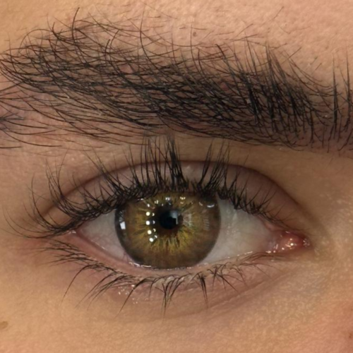 Amazon Brown