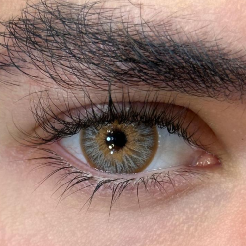 Avatar Brown -2.75