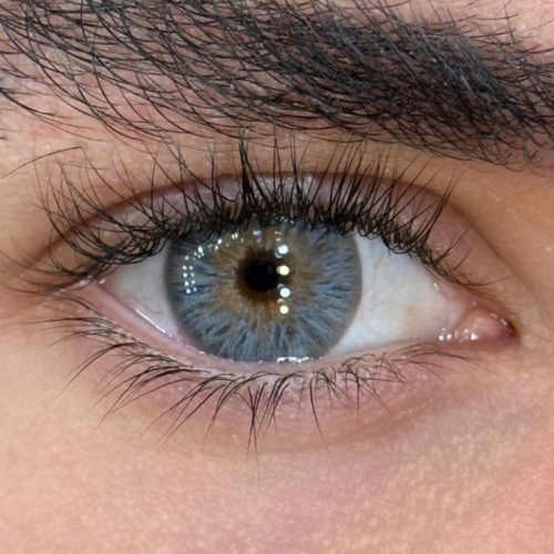 Avatar Gray