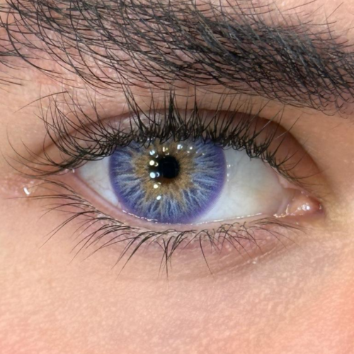 Avatar Violet