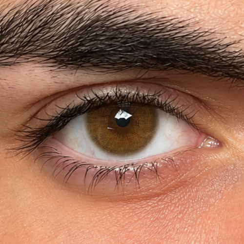 Maldives Brown