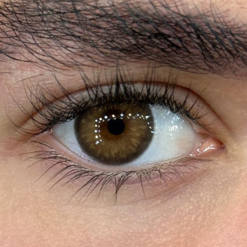 Myakhie Brown