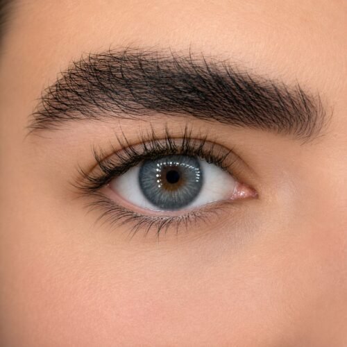 Venice Gray